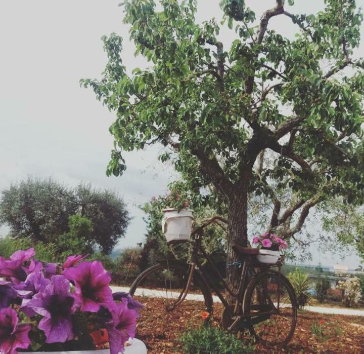 Villa Trulli Di Nonna Palma à Locorotondo Extérieur photo